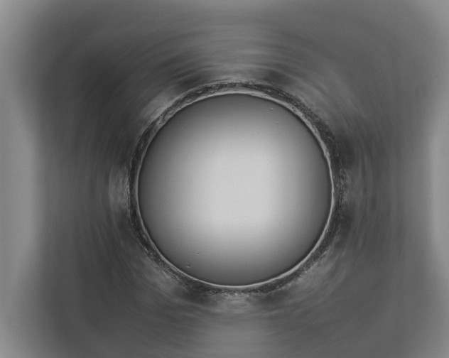 X0000112830969200909041459