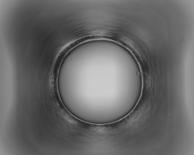 X0000112830971200909041459