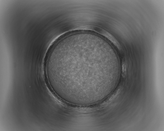 X0000112830972200909041459