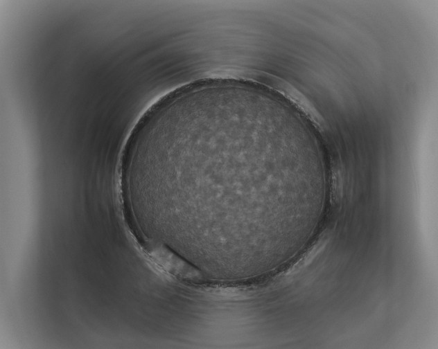 X0000112830976200909041459