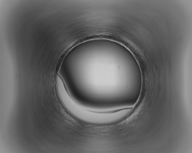 X0000112830977200909041459