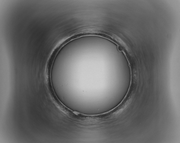 X0000112830981200909041459