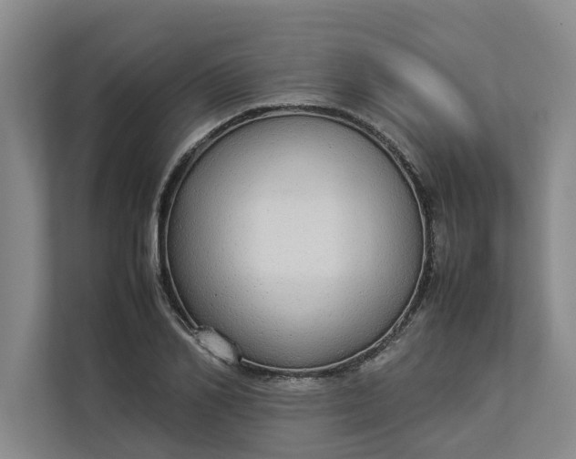 X0000112830982200909041459