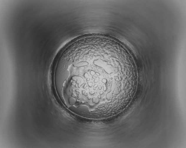 X0000112830983200909041459