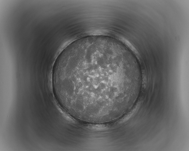 X0000112830986200909041459