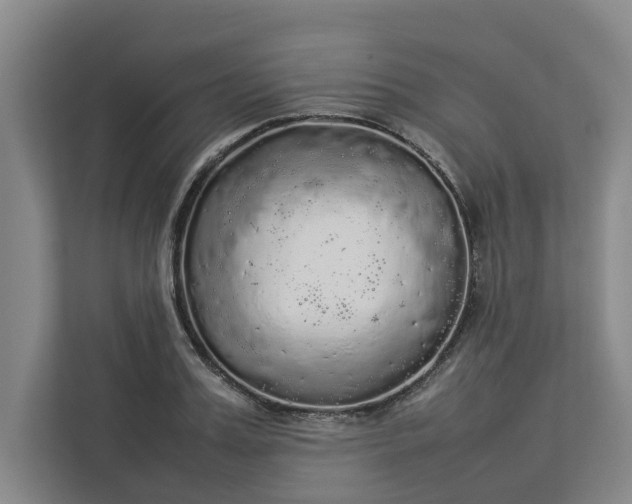 X0000112830987200909041459