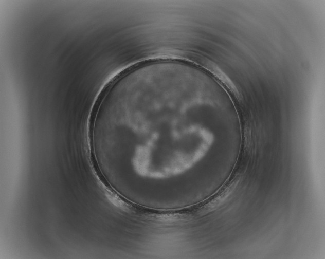 X0000112830988200909041459