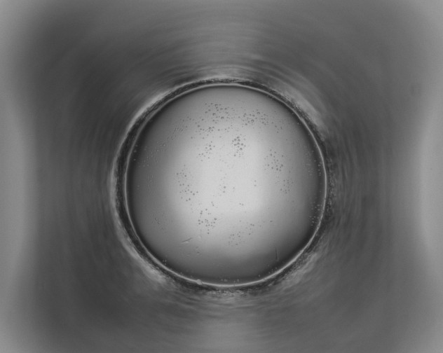 X0000112830991200909041459