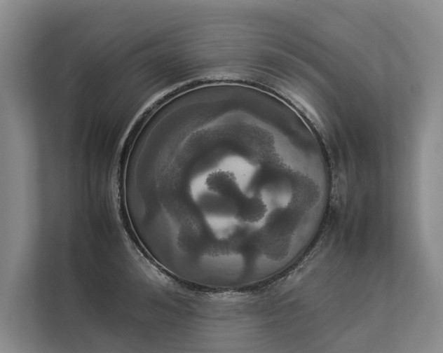 X0000112830992200909041459