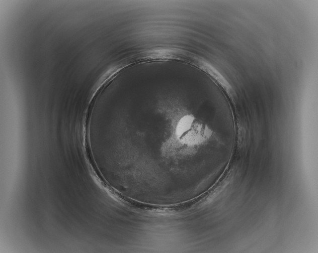 X0000112830994200909041459