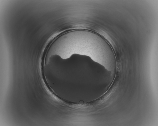 X0000112830995200909041459