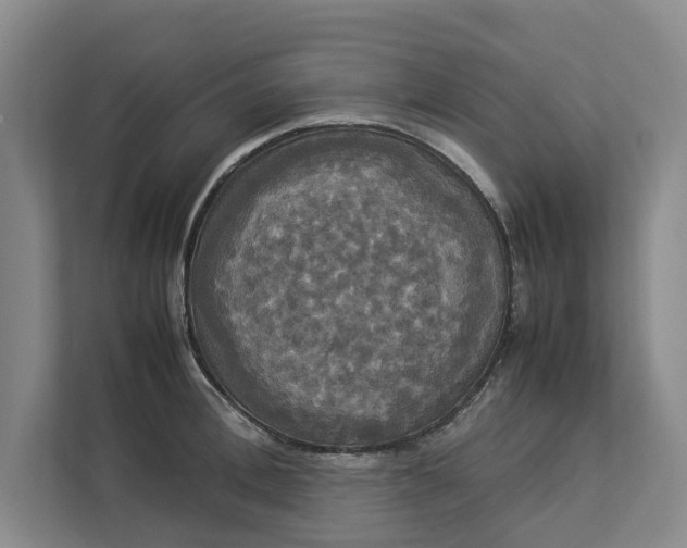 X0000112830996200909041459