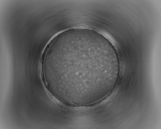 X0000112831000200909041459