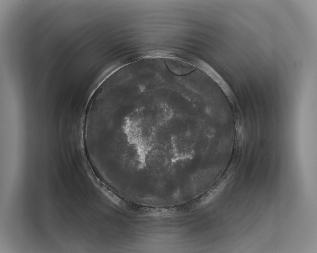 X0000112831002200909041459