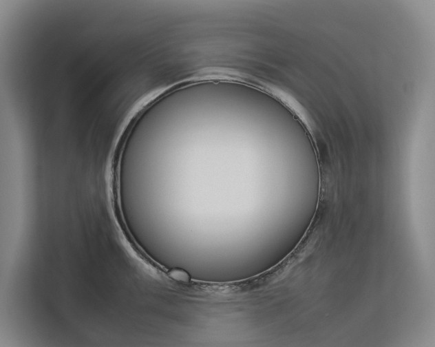 X0000112831003200909041459