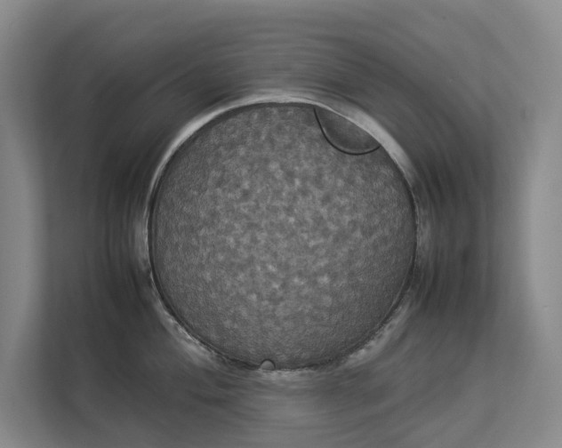 X0000112831004200909041459