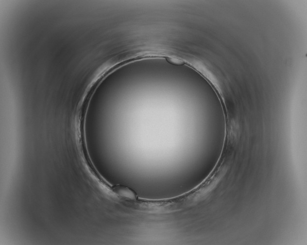 X0000112831005200909041459