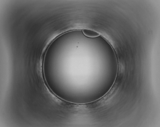 X0000112831006200909041459