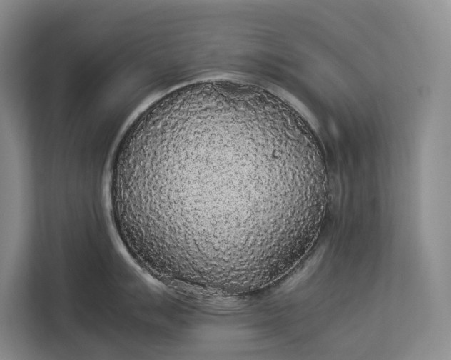 X0000112831007200909041459