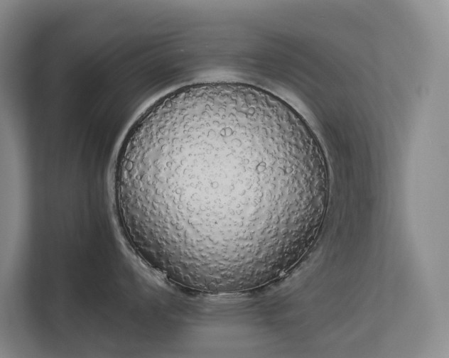 X0000112831008200909041459