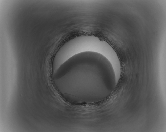 X0000112831009200909041458