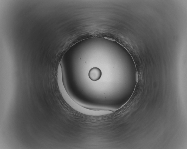 X0000112831012200909041458