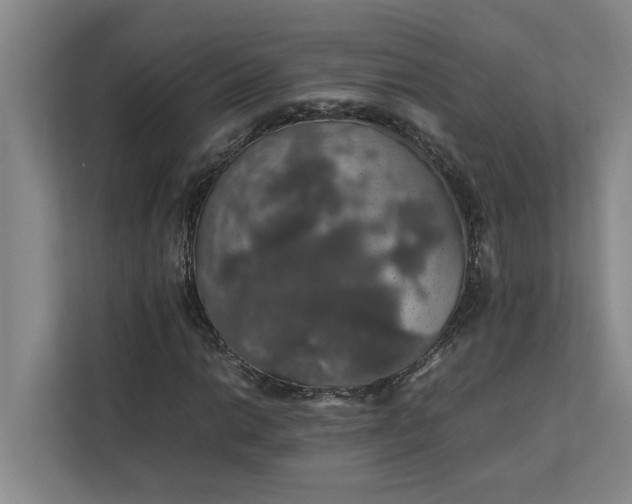 X0000112831014200909041458