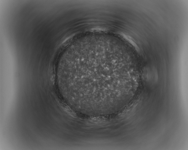 X0000112831015200909041458