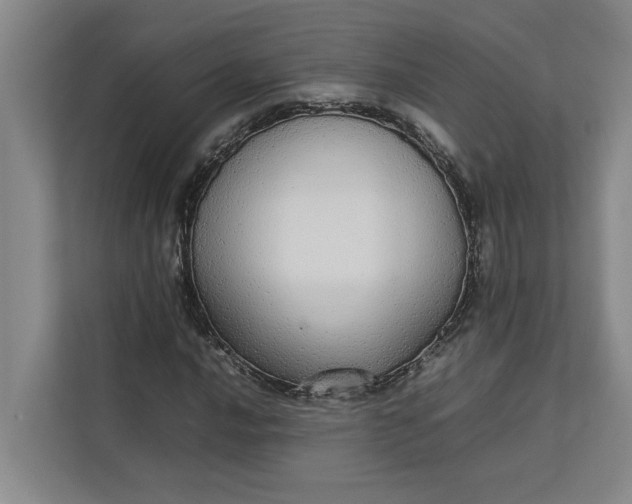 X0000112831016200909041458