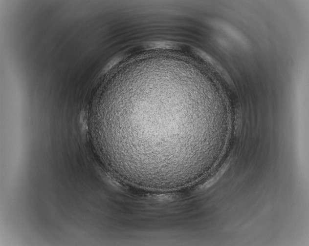 X0000112831017200909041458