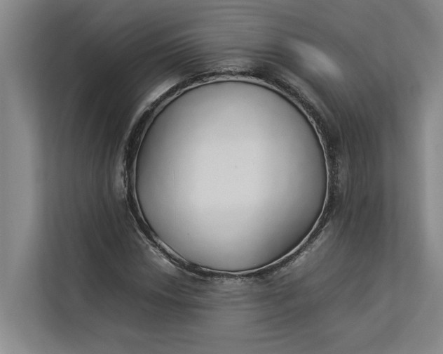 X0000112831018200909041458