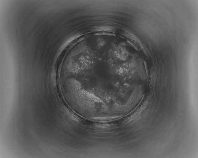 X0000112831019200909041458