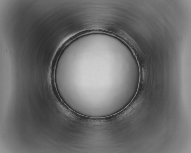 X0000112831020200909041458