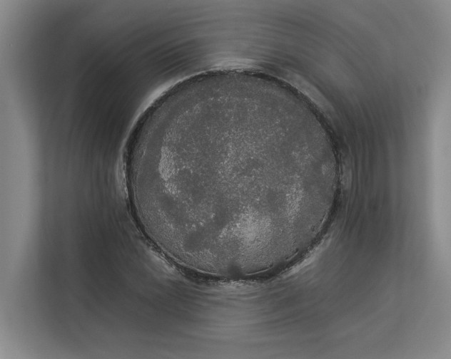 X0000112831022200909041458