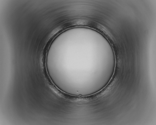 X0000112831026200909041458