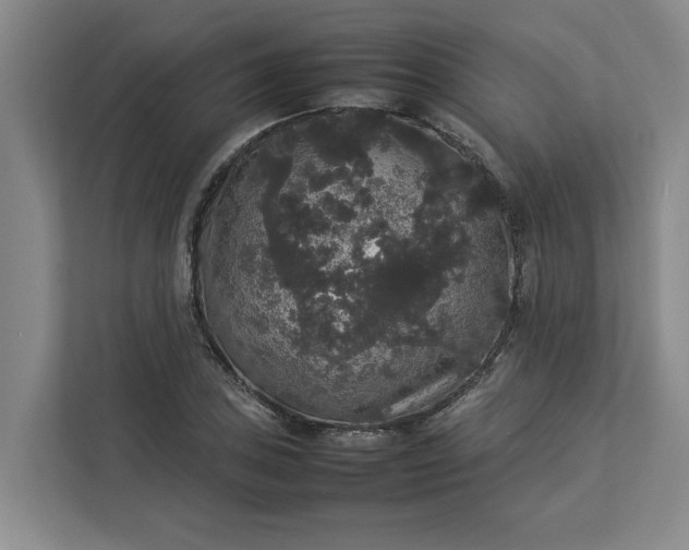 X0000112831027200909041458