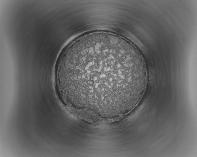 X0000112831028200909041458