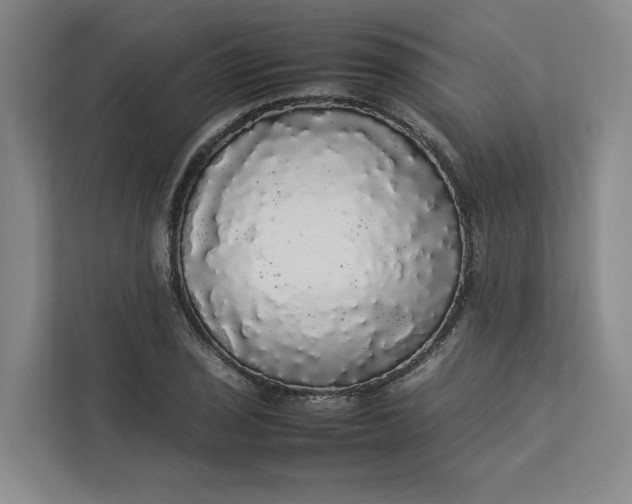 X0000112831029200909041458