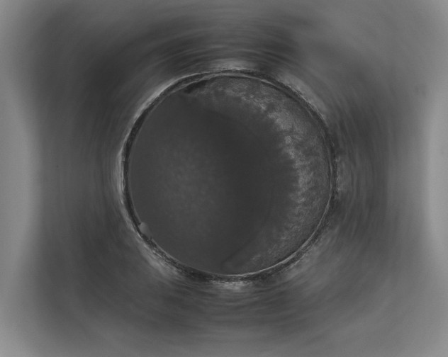 X0000112831031200909041458