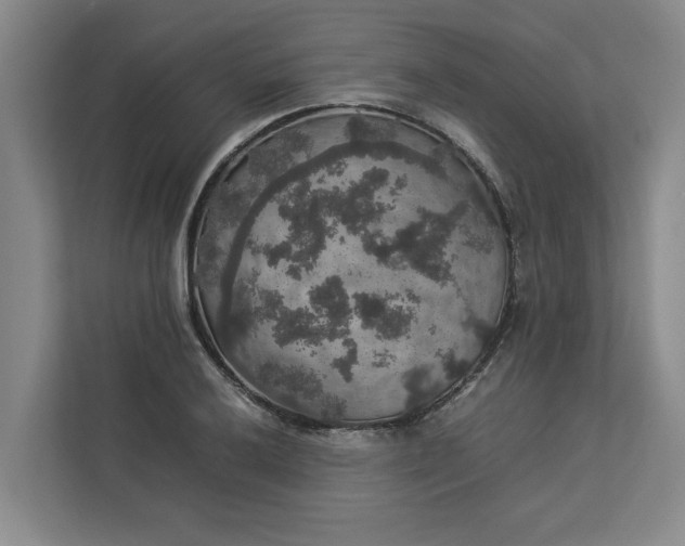 X0000112831032200909041458