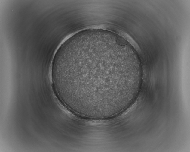 X0000112831036200909041458