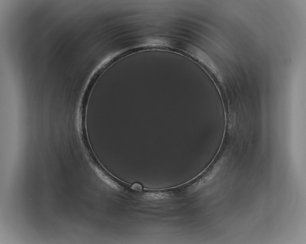 X0000112831037200909041458