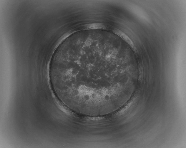 X0000112831039200909041458