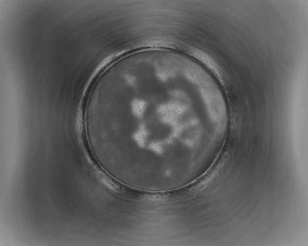 X0000112831040200909041458