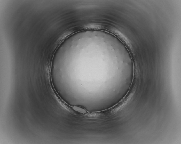 X0000112831041200909041458