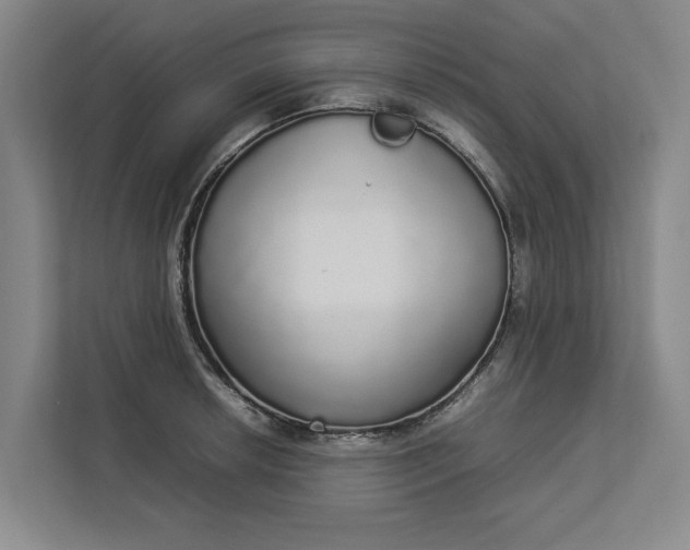 X0000112831042200909041459