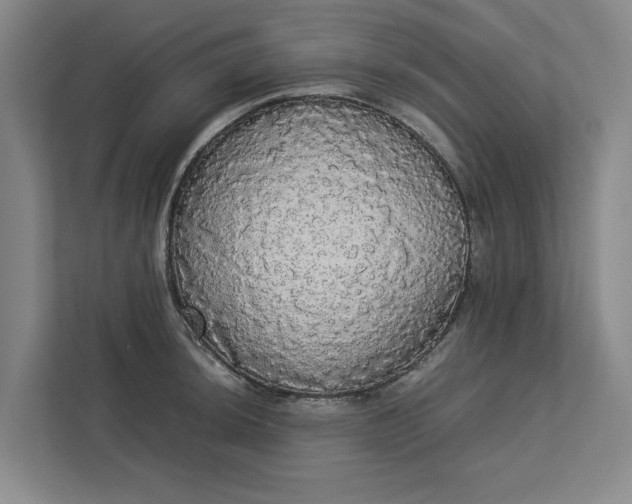 X0000112831044200909041459