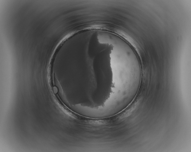 X0000112831045200909041459