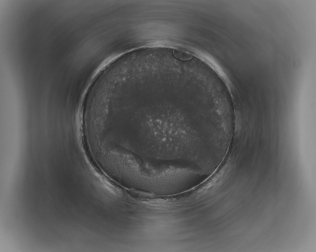 X0000112831048200909041459