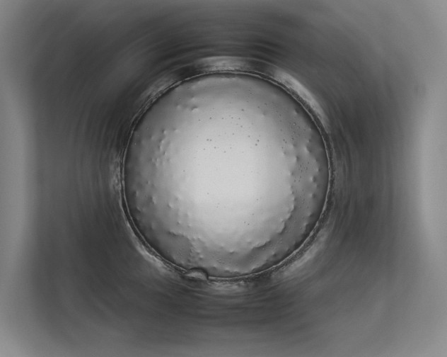 X0000112831049200909041459